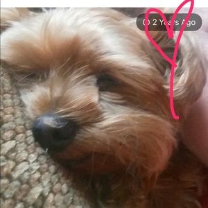 Meet your Posher, Kathie